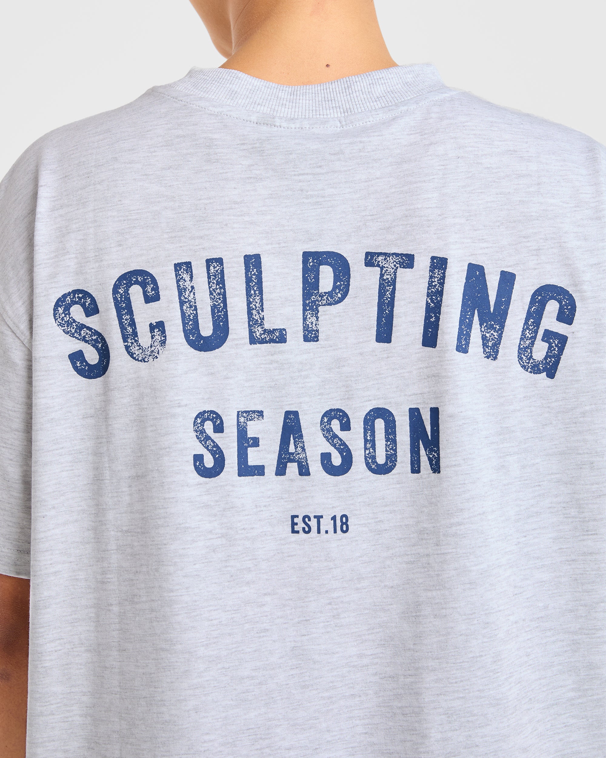 Sculpting Season Oversized T Shirt - Heather Grey/Navy